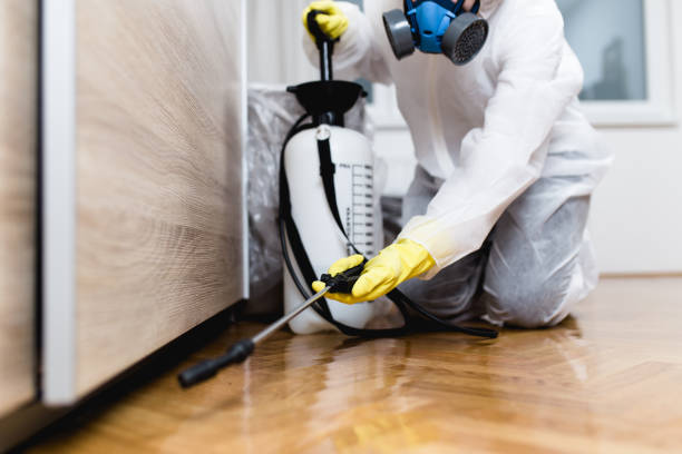 Best Commercial Pest Control Services  in Ballard, UT