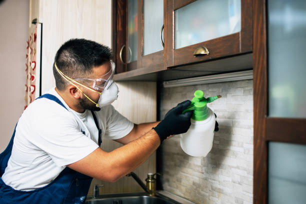 Best Insect Control  in Ballard, UT