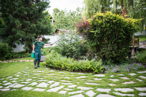 Best Wasp Removal Services  in Ballard, UT