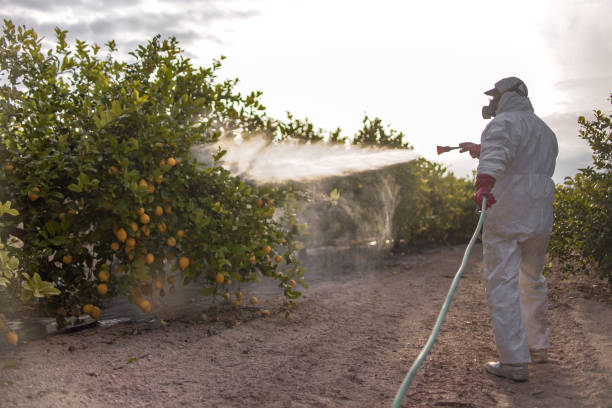 Best Best Pest Control Companies  in Ballard, UT