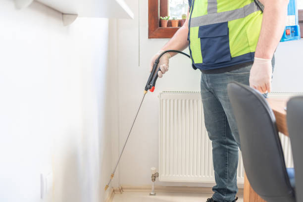Best Termite Control Services  in Ballard, UT
