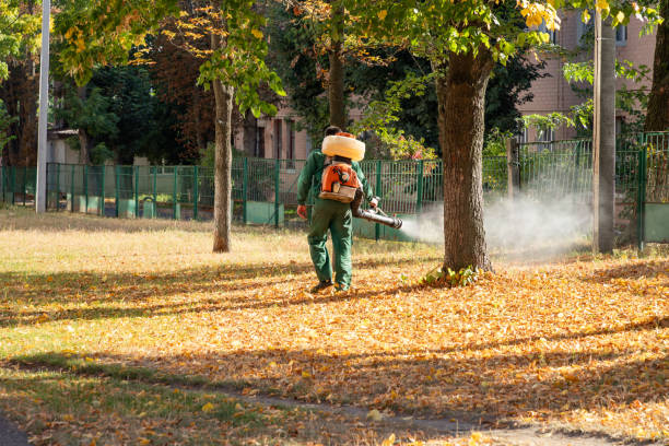 Professional Pest Control in Ballard, UT