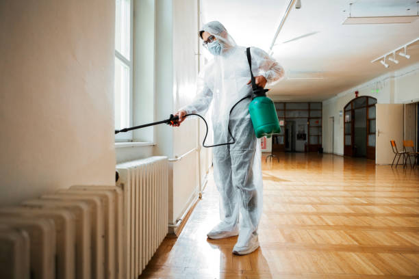 Best Affordable Pest Control Services  in Ballard, UT