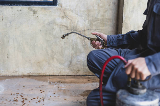 Best Mosquito Control Services  in Ballard, UT